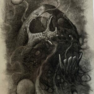 A Striking Illustration of a Skull