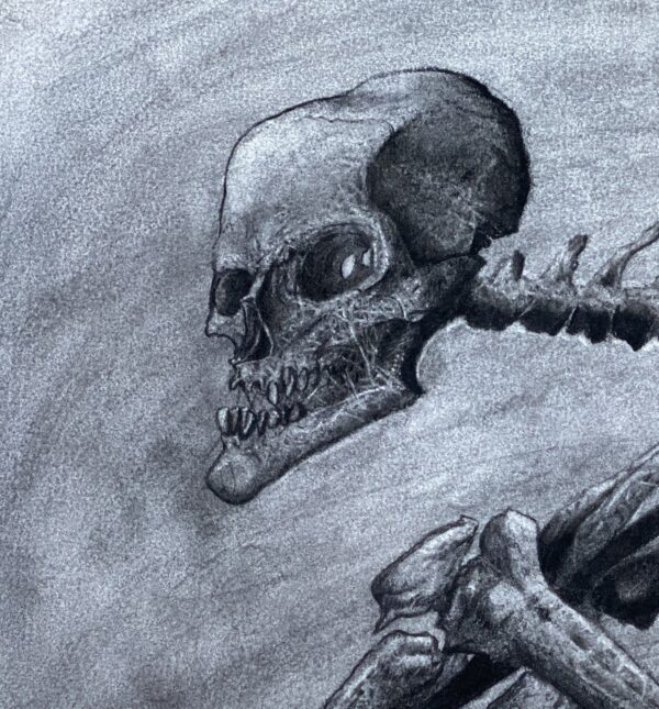 A Detailed Drawing of a Skeleton